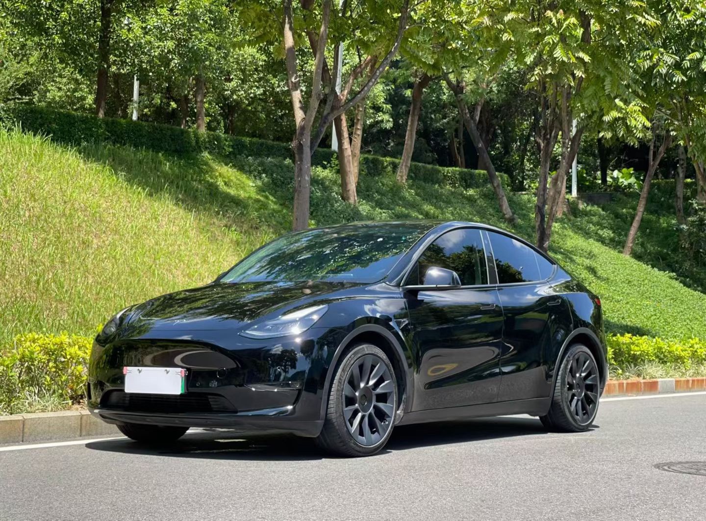 Tesla Model Y 2022 car image 