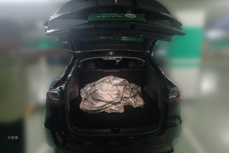 Tesla Model Y 2021 car image #21