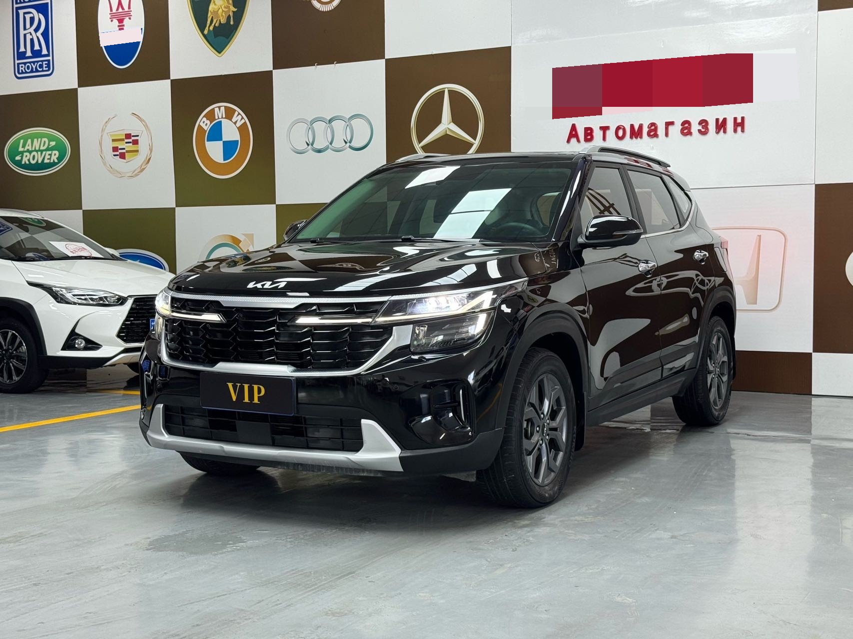 Kia Seltos 2023 car image 