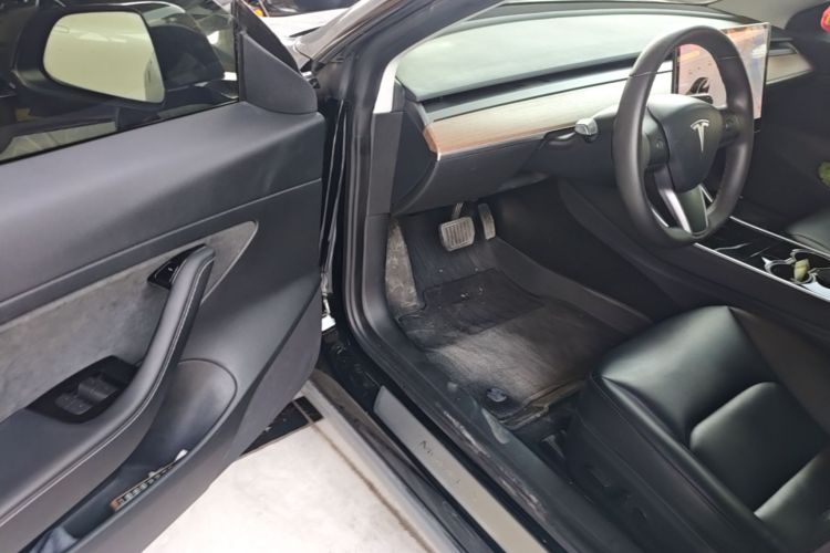 Tesla Model 3 2020 car image #12