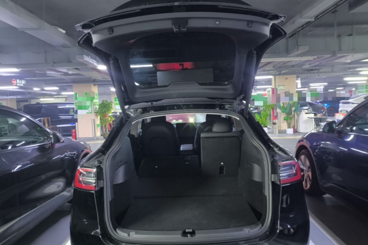Tesla Model Y 2023 #19 Tesla Model Y 2023 car image #19