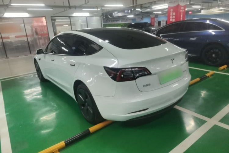 Tesla Model 3 2021 #5 Tesla Model 3 2021 car image #5