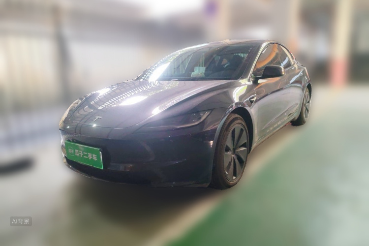 Tesla Model 3 2024 #2 Tesla Model 3 2024 car image #2