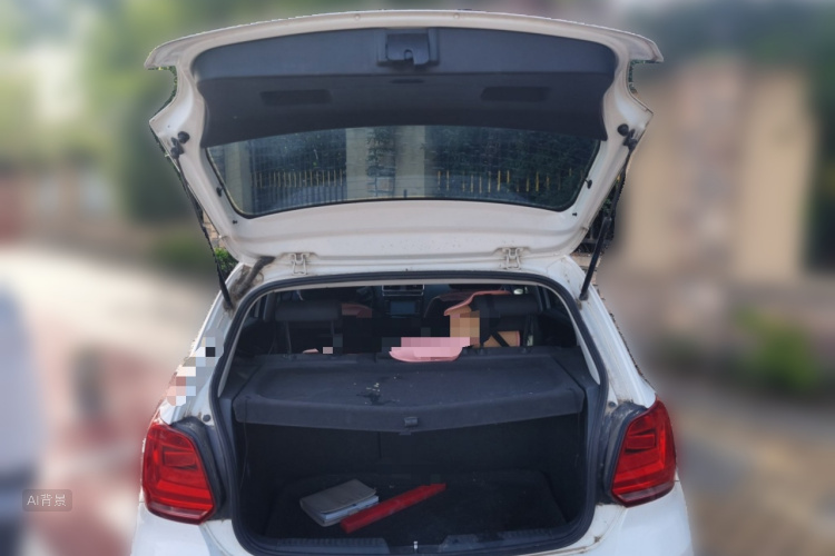 Volkswagen Polo 2016 car image #21