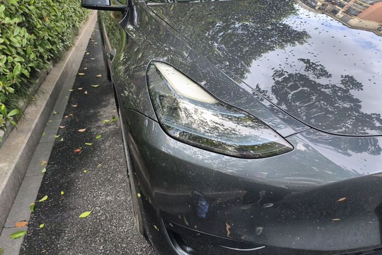 Tesla Model Y 2024 car image #8