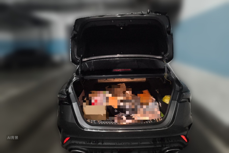 GEELY Binray 2023 #21 GEELY Binray 2023 immagine di auto #21