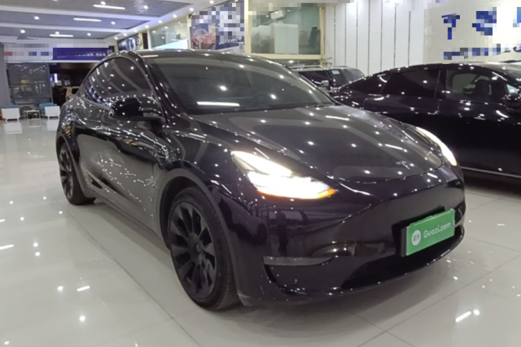 Tesla Model Y 2021 car image #4