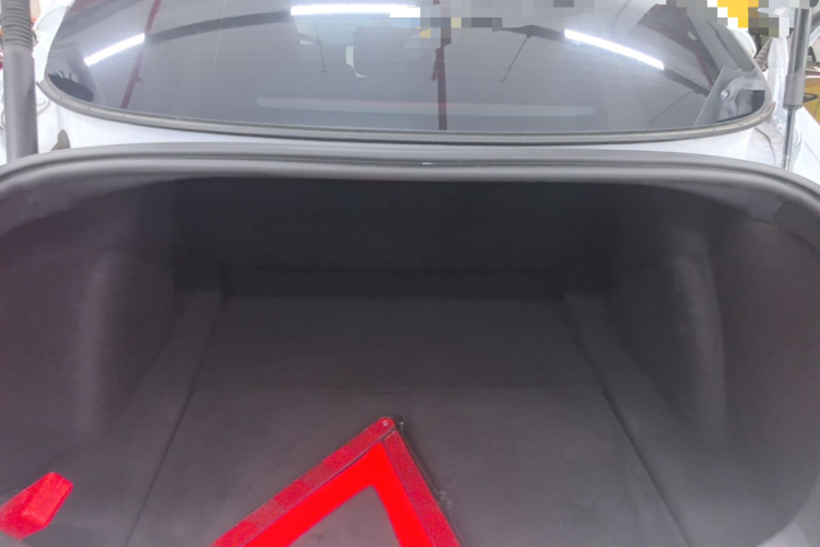 Tesla Model 3 2022 immagine di auto #19