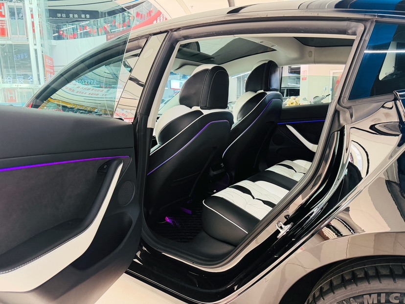 Tesla Model 3 2021 #6 Tesla Model 3 2021 car image #6