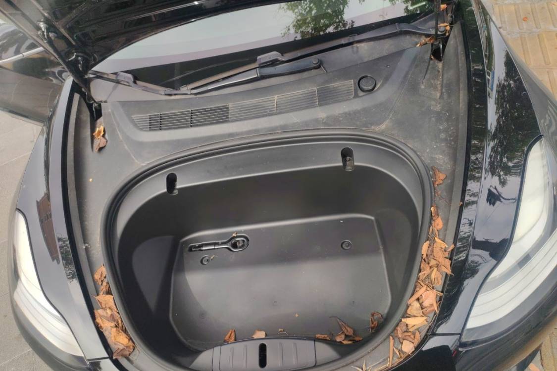 Tesla Model 3 2020 #10 Tesla Model 3 2020 imagen de coche #10