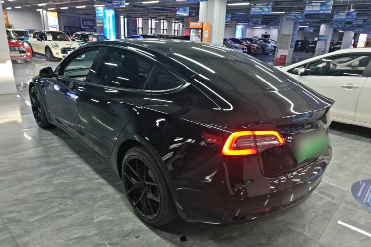 Tesla Model 3 2021 car image #5