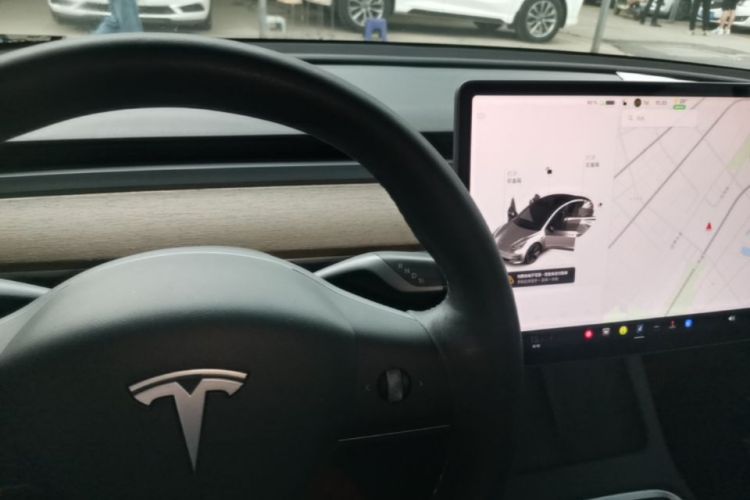 Tesla Model 3 2021 car image #14