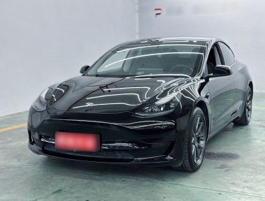 Tesla Model 3 2021 Tesla Model 3 2021 car image