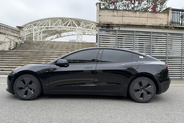 Tesla Model 3 2021 #8 Tesla Model 3 2021 immagine di auto #8