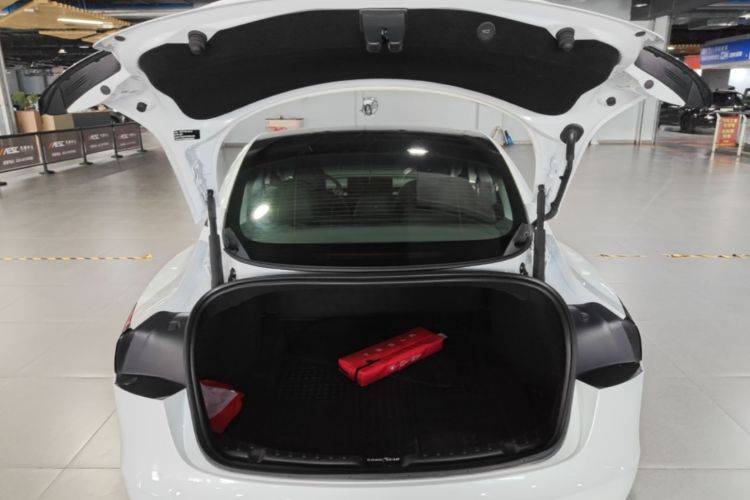 Tesla Model 3 2025 #19 Tesla Model 3 2025 car image #19