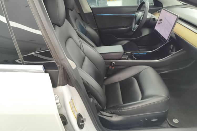 Tesla Model 3 2020 #24 Tesla Model 3 2020 car image #24