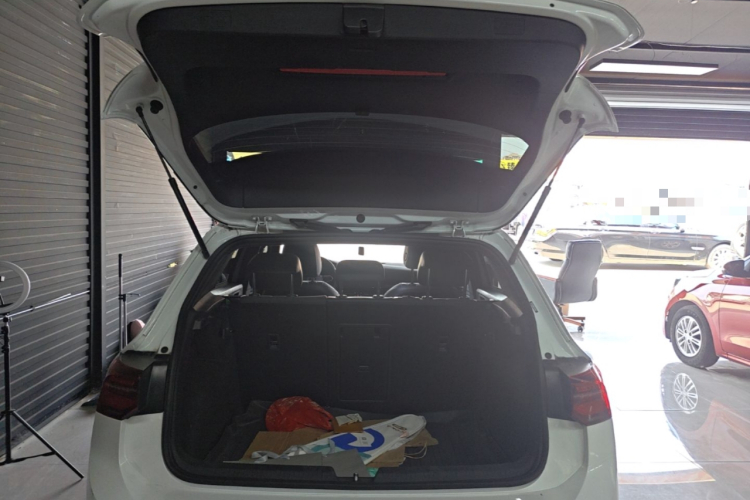 Volkswagen Golf 2023 car image #19