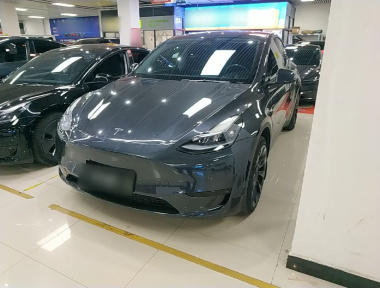 Tesla Model Y 2024 Tesla Model Y 2024 car image