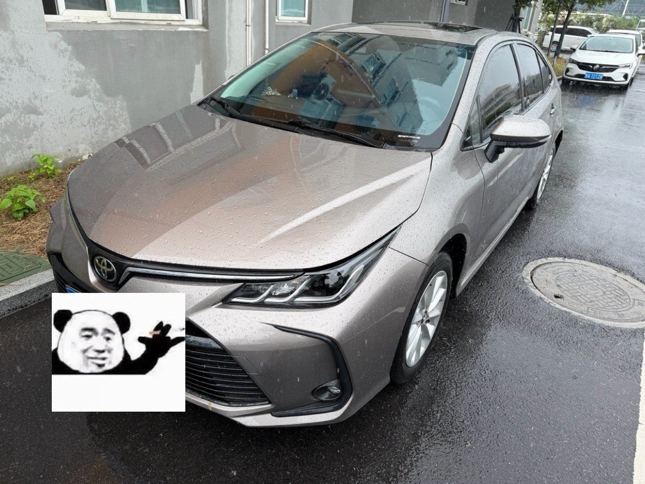 Toyota Corolla 2023 car image 