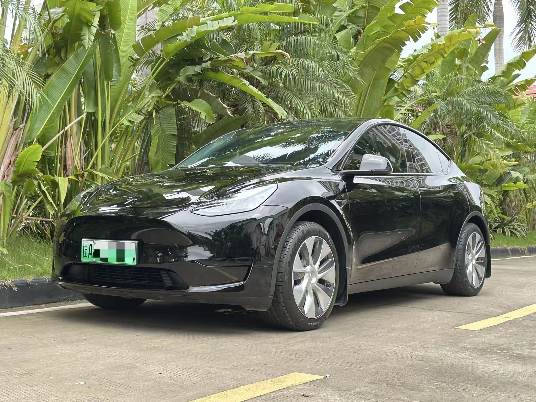 Tesla Model Y 2023 Tesla Model Y 2023 car image