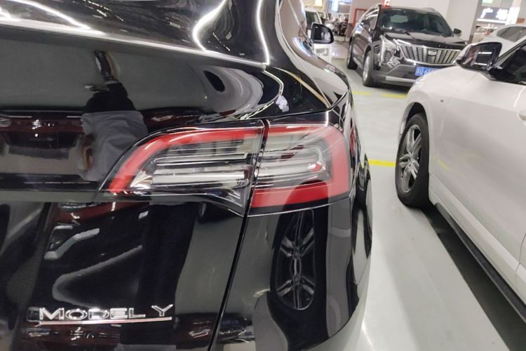 Tesla Model Y 2023 #8 Tesla Model Y 2023 car image #8