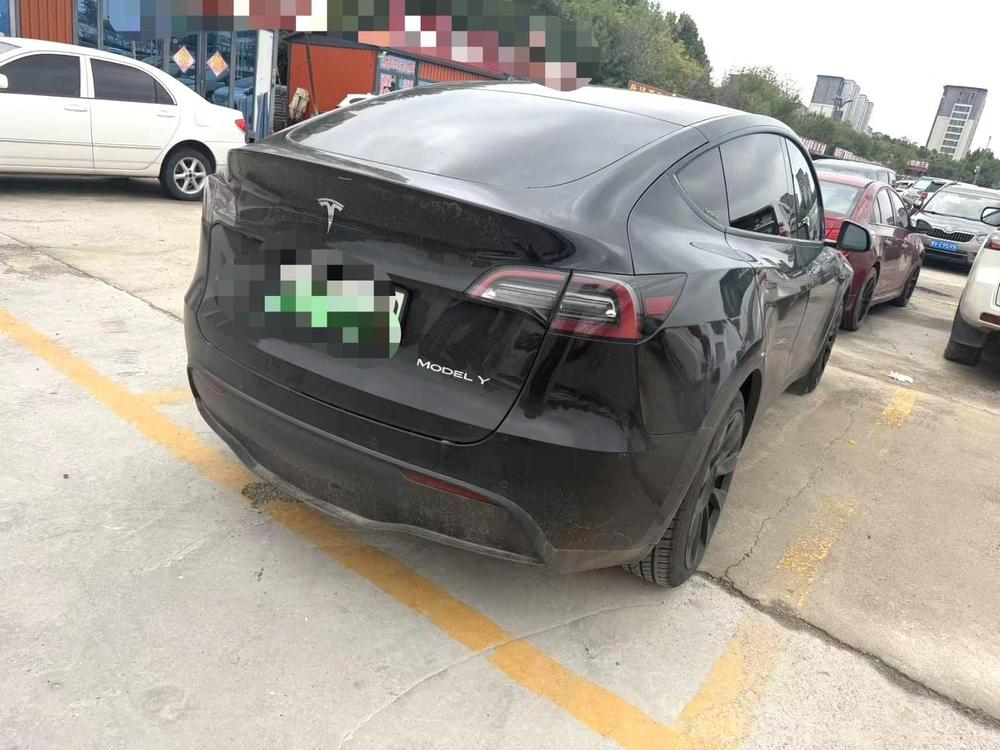 Tesla Model Y 2021 car image #6