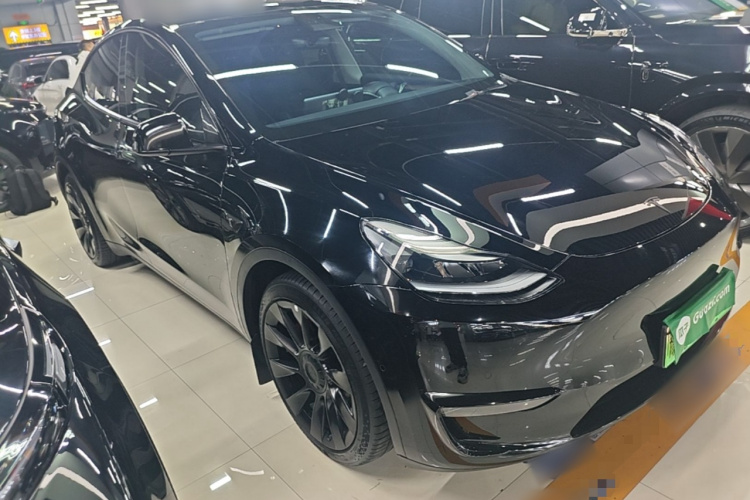 Tesla Model Y 2021 #4 Tesla Model Y 2021 car image #4