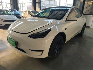 Tesla Model Y 2024 Tesla Model Y 2024 car image