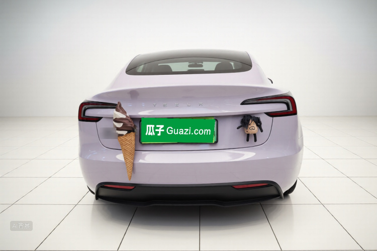 Tesla Model 3 2024 car image #6