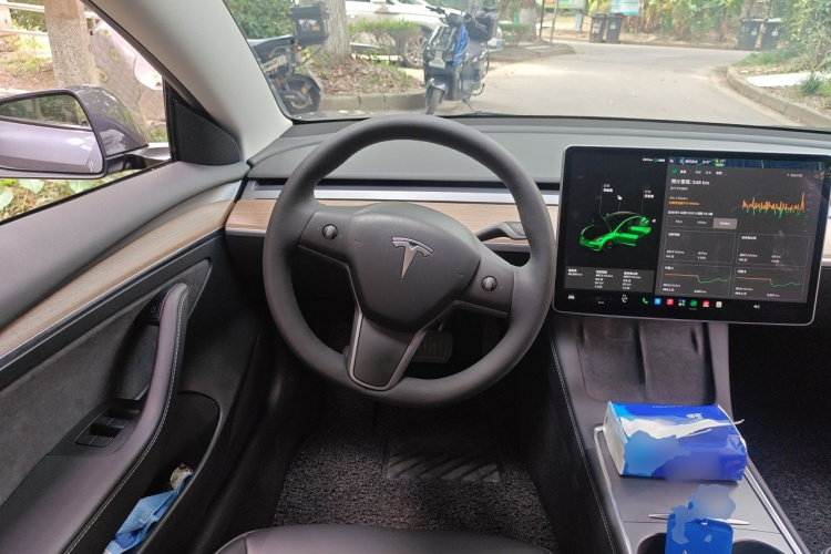 Tesla Model 3 2021 #11 Tesla Model 3 2021 car image #11
