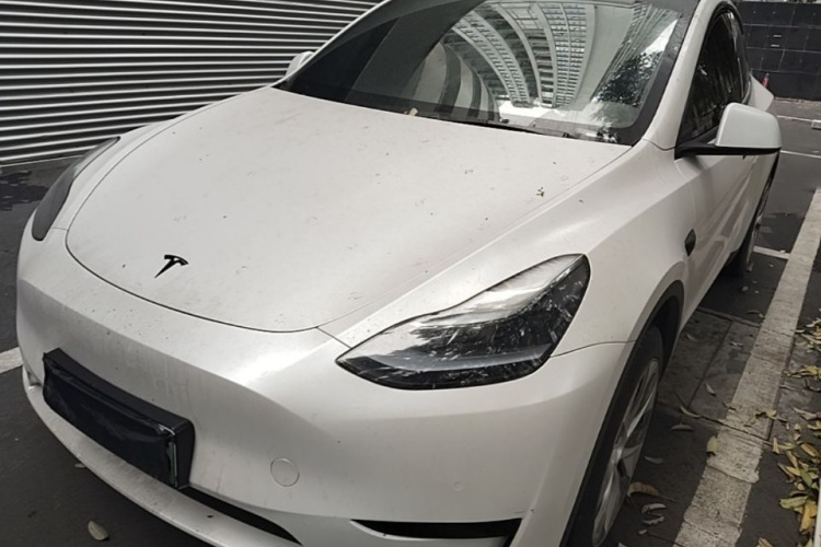 Tesla Model Y 2023 car image #2