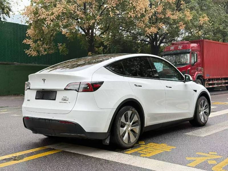 Tesla Model Y 2021 #6 Tesla Model Y 2021 car image #6