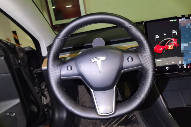 Tesla Model 3 2020 car image #12