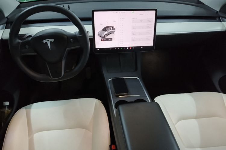 Tesla Model Y 2022 car image #10
