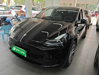 Tesla Model Y 2022 car image 