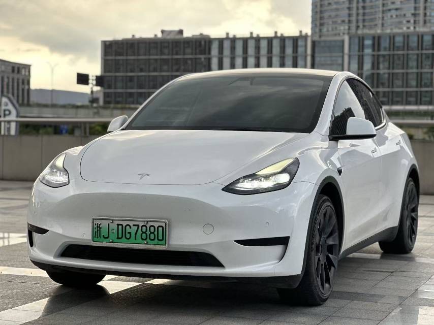 Tesla Model Y 2022 Tesla Model Y 2022 car image