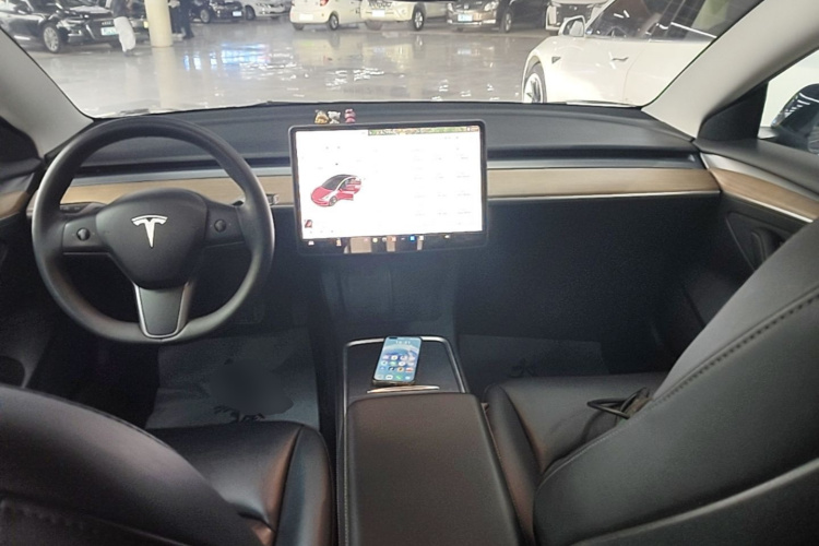 Tesla Model 3 2021 car image #10