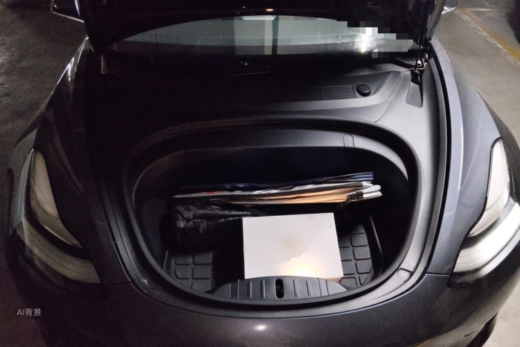 Tesla Model 3 2020 car image #22