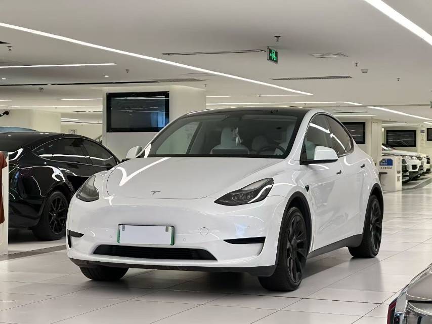 Tesla Model Y 2024 car image 