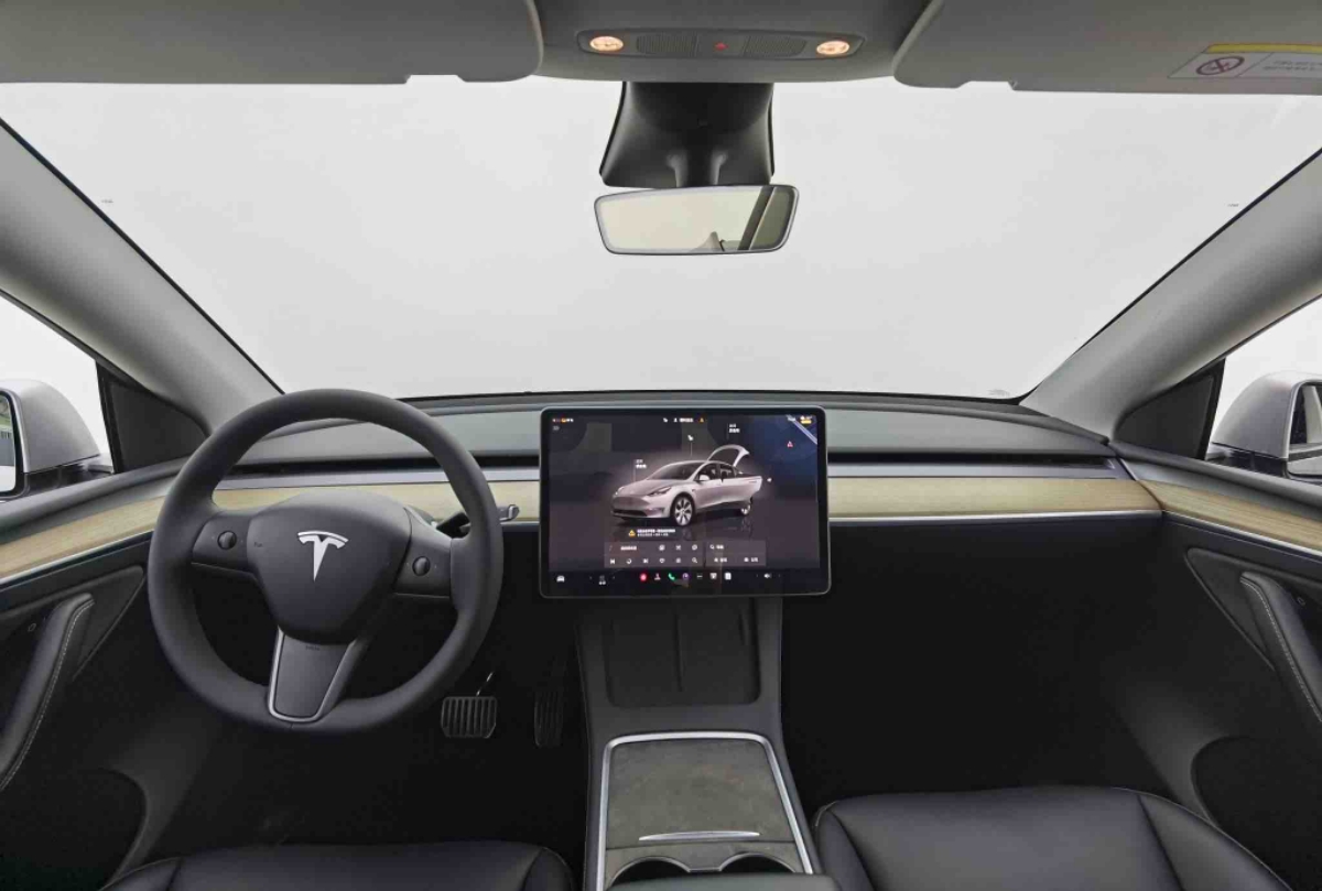 Tesla Model Y 2023 #9 Tesla Model Y 2023 car image #9
