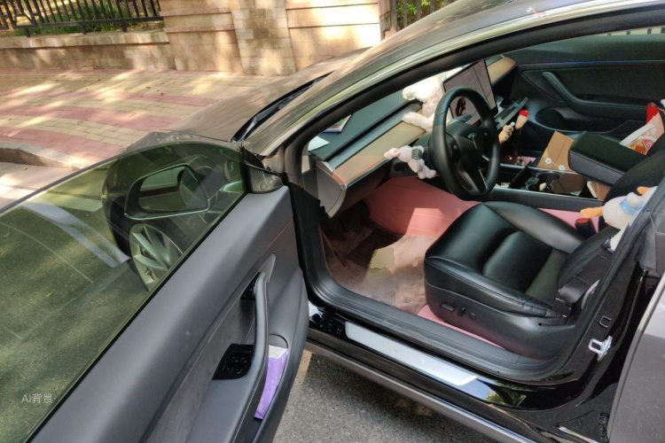 Tesla Model 3 2020 immagine di auto #18