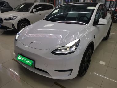 Tesla Model Y 2023 Tesla Model Y 2023 car image