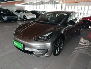 Tesla Model 3 2021 car image 