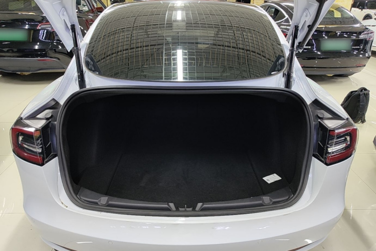 Tesla Model 3 2020 #19 Tesla Model 3 2020 car image #19