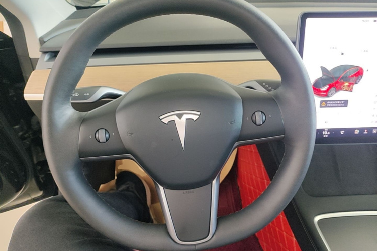 Tesla Model 3 2021 car image #11