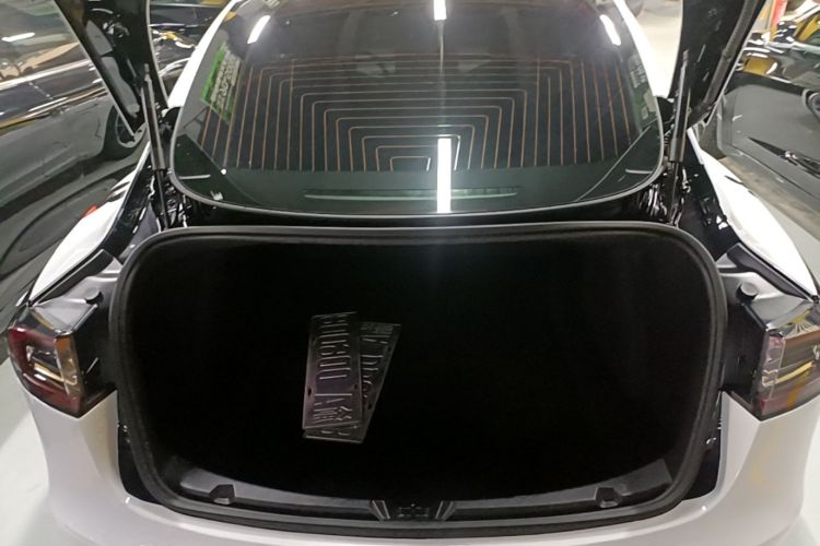 Tesla Model 3 2020 car image #19