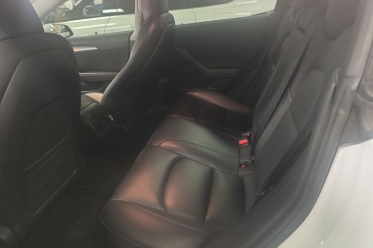 Tesla Model 3 2021 car image #17