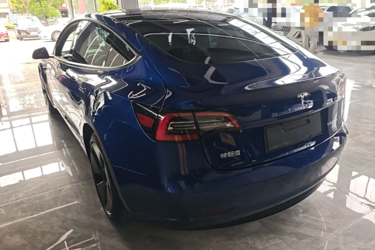 Tesla Model 3 2021 #5 Tesla Model 3 2021 car image #5