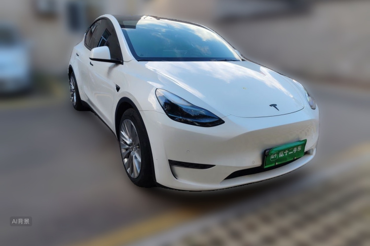 Tesla Model Y 2021 #4 Tesla Model Y 2021 car image #4