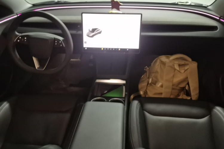Tesla Model 3 2024 #10 Tesla Model 3 2024 image de voiture #10